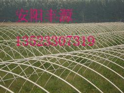 供应无支柱蔬菜大棚骨架机，温室大棚骨架机
